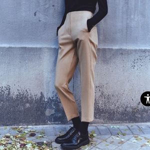 Zara High Waisted Pants